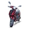 Metallic Plum Red
